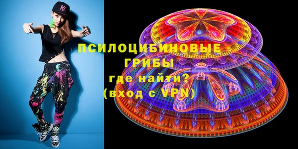 прущий лед Касимов
