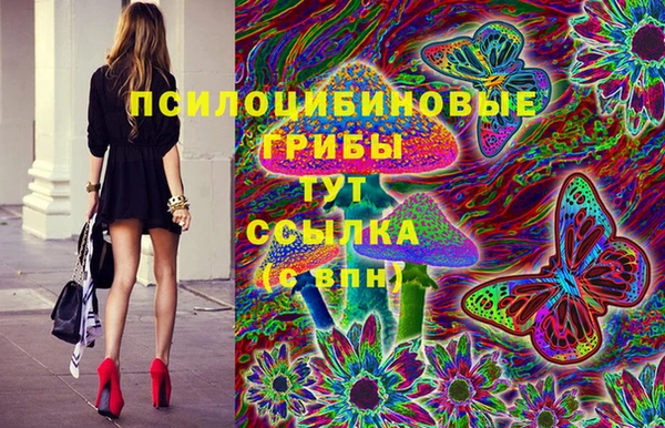 прущий лед Касимов