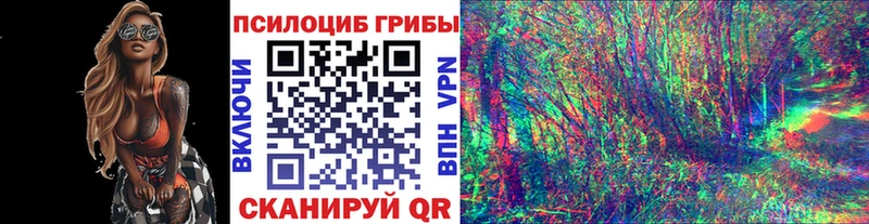 Галлюциногенные грибы Magic Shrooms Купить закладки Добрянка